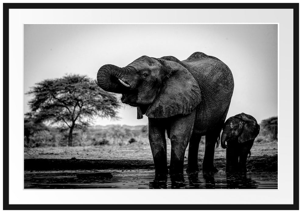 Elefantenkuh mit Jungem am Wasserloch, Monochrome Passepartout Rechteckig 100