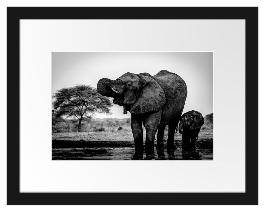 Pixxprint Elefantenkuh mit Jungem am Wasserloch, Monochrome, im Galerie-Passepartout Bilderrahmen