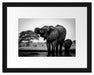 Elefantenkuh mit Jungem am Wasserloch, Monochrome Passepartout Rechteckig 30