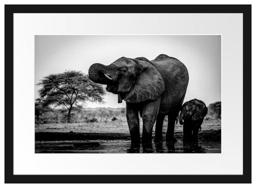 Elefantenkuh mit Jungem am Wasserloch, Monochrome Passepartout Rechteckig 40