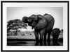 Elefantenkuh mit Jungem am Wasserloch, Monochrome Passepartout Rechteckig 80