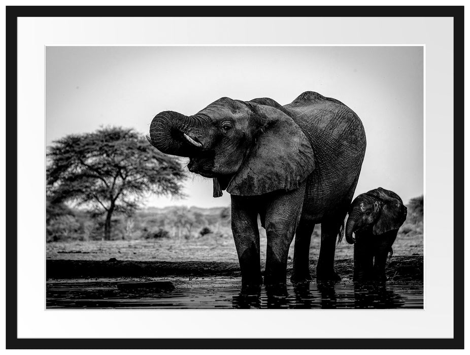Elefantenkuh mit Jungem am Wasserloch, Monochrome Passepartout Rechteckig 80