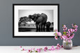 Elefantenkuh mit Jungem am Wasserloch, Monochrome Passepartout Detail Rechteckig