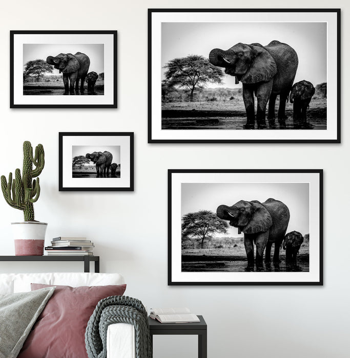 Elefantenkuh mit Jungem am Wasserloch, Monochrome Passepartout Wohnzimmer Rechteckig