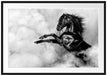 Schwarzes Pferd steigt im weißen Nebel, Monochrome Passepartout Rechteckig 100