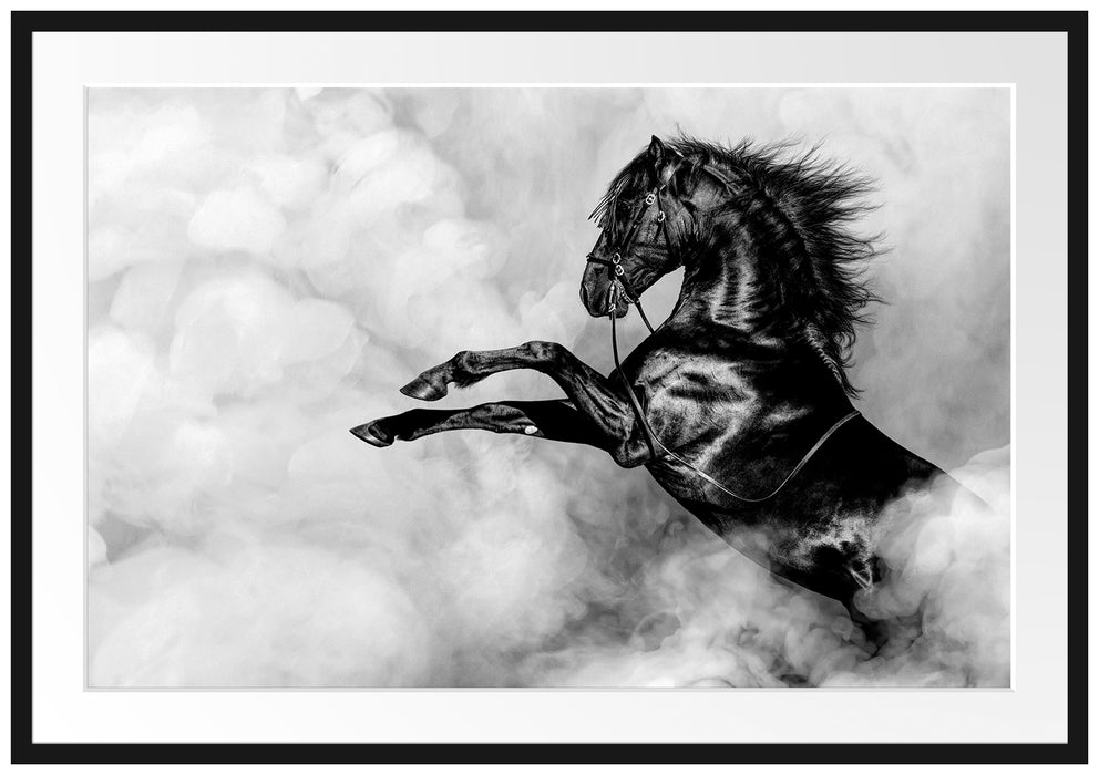 Schwarzes Pferd steigt im weißen Nebel, Monochrome Passepartout Rechteckig 100