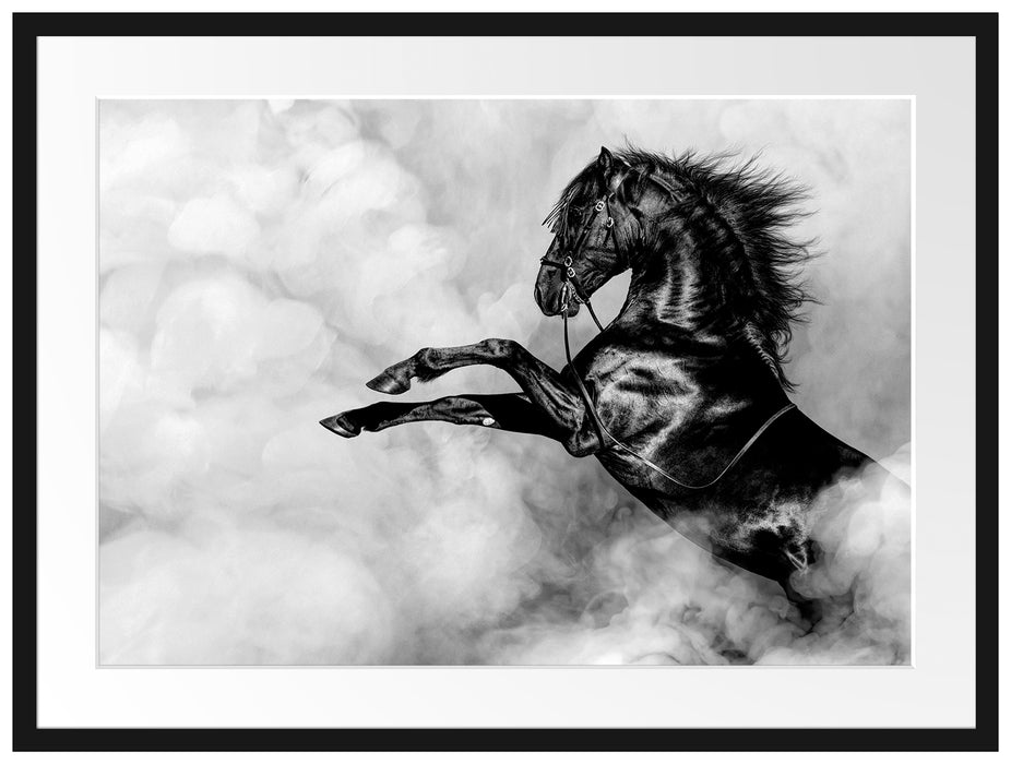 Schwarzes Pferd steigt im weißen Nebel, Monochrome Passepartout Rechteckig 80