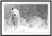 Majestätischer weißer Wolf im Schnee, Monochrome Passepartout Rechteckig 100