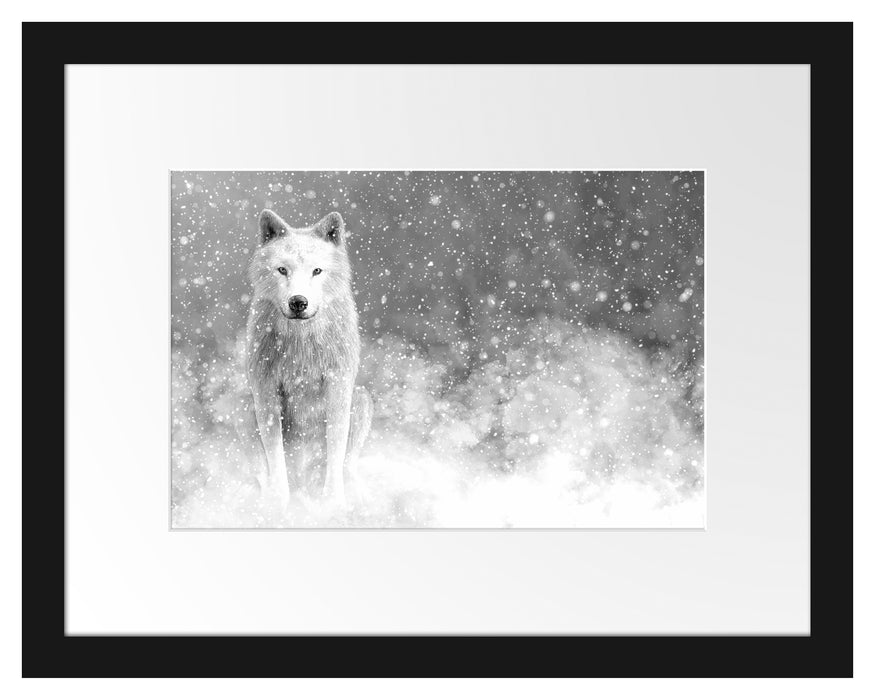 Pixxprint Majestätischer weißer Wolf im Schnee, Monochrome, im Galerie-Passepartout Bilderrahmen