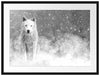 Majestätischer weißer Wolf im Schnee, Monochrome Passepartout Rechteckig 80