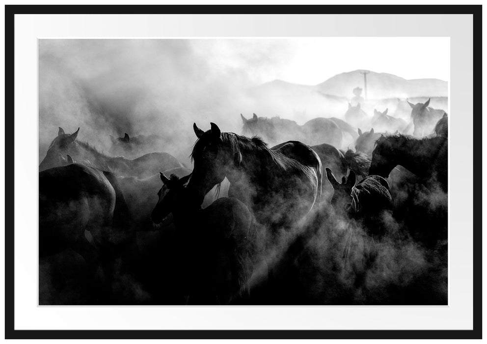 Pferdeherde im Staub bei Sonnenuntergang, Monochrome Passepartout Rechteckig 100