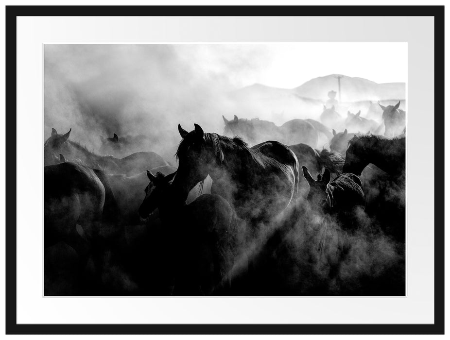 Pferdeherde im Staub bei Sonnenuntergang, Monochrome Passepartout Rechteckig 80