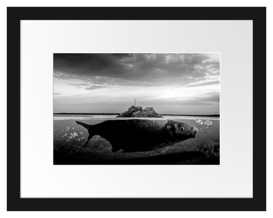 Pixxprint Abstrakter Fisch mit Felsrücken, Monochrome, im Galerie-Passepartout Bilderrahmen