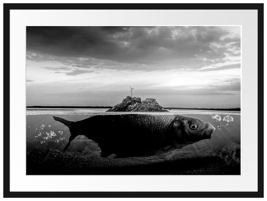 Abstrakter Fisch mit Felsrücken, Monochrome Passepartout Rechteckig 80