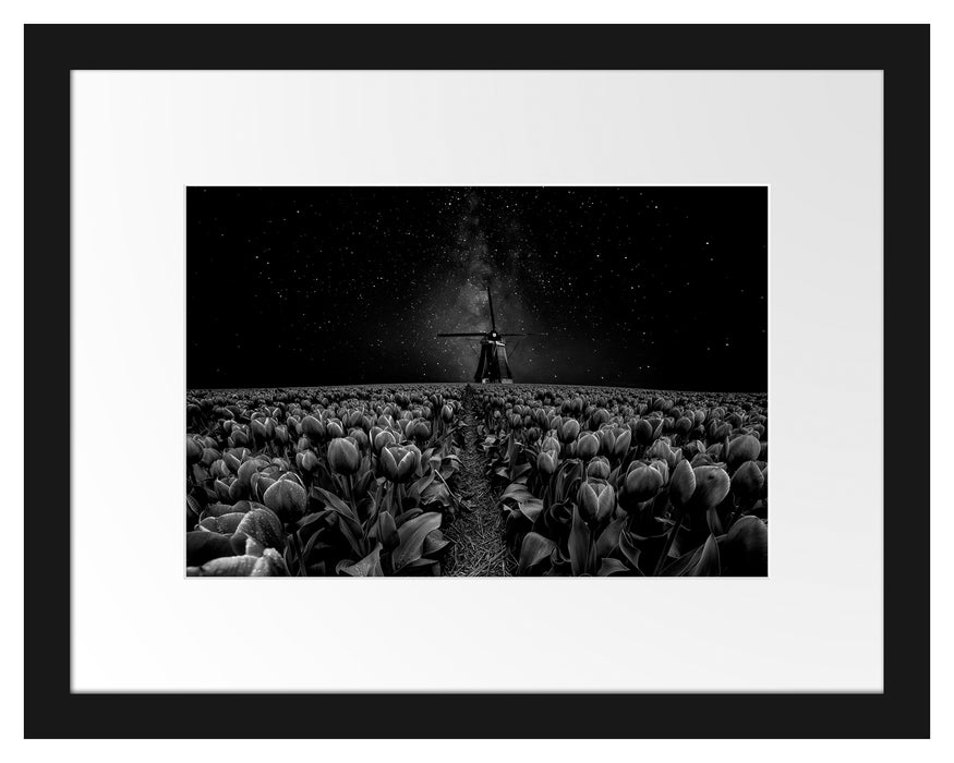 Pixxprint Tulpenfeld mit Windmühle bei Nacht, Monochrome, im Galerie-Passepartout Bilderrahmen