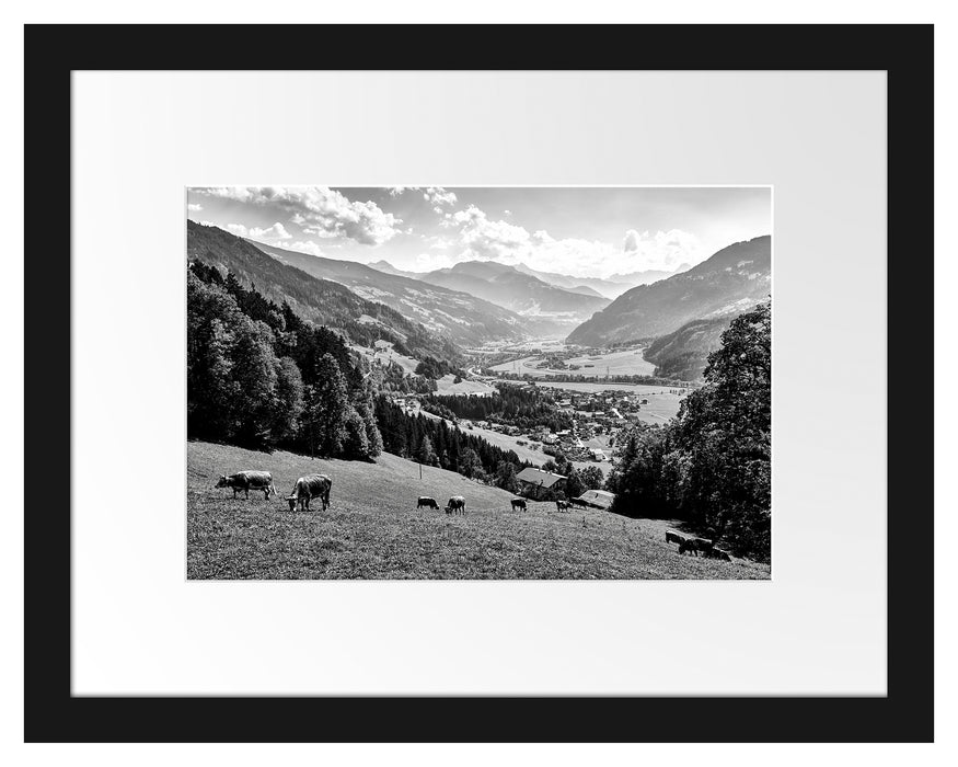 Pixxprint Kuhherde auf Zillertaler Almwiese, Monochrome, im Galerie-Passepartout Bilderrahmen