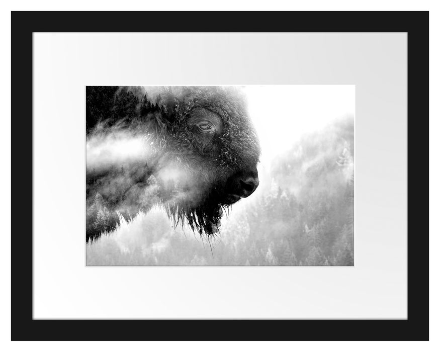Pixxprint Wildes Bison in nebeligem Wald, Monochrome, im Galerie-Passepartout Bilderrahmen