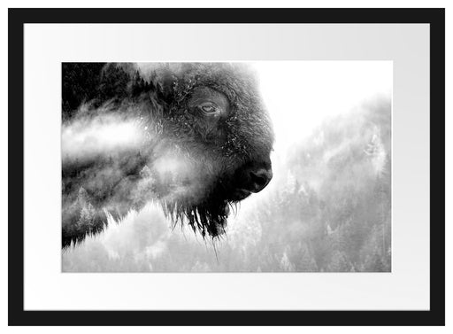 Wildes Bison in nebeligem Wald, Monochrome Passepartout Rechteckig 40