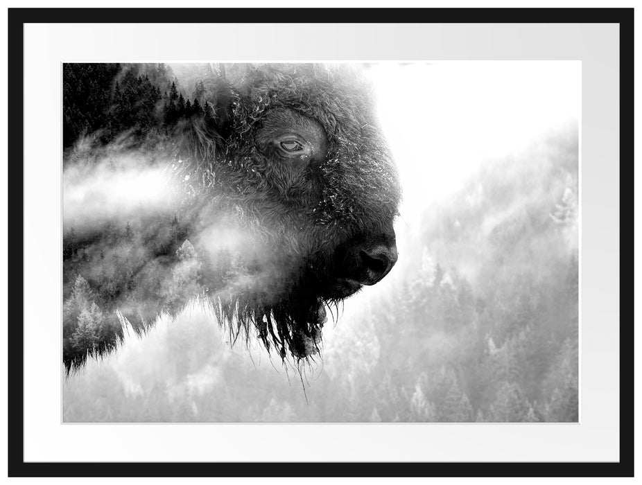 Wildes Bison in nebeligem Wald, Monochrome Passepartout Rechteckig 80