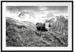 Kuh auf grüner Alm in den Bergen, Monochrome Passepartout Rechteckig 100