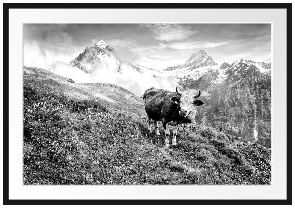 Kuh auf grüner Alm in den Bergen, Monochrome Passepartout Rechteckig 100