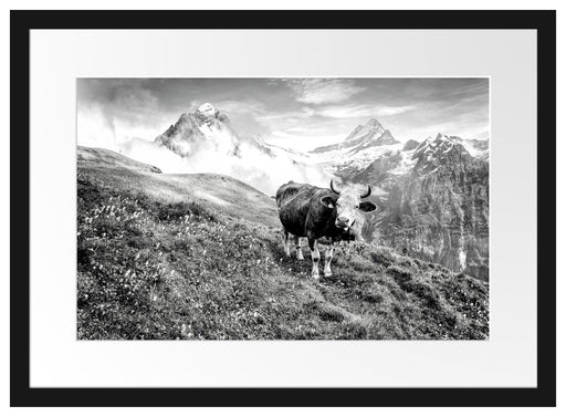Kuh auf grüner Alm in den Bergen, Monochrome Passepartout Rechteckig 40