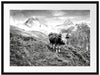 Kuh auf grüner Alm in den Bergen, Monochrome Passepartout Rechteckig 80