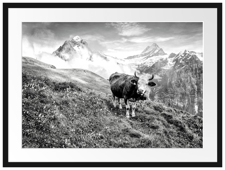 Kuh auf grüner Alm in den Bergen, Monochrome Passepartout Rechteckig 80
