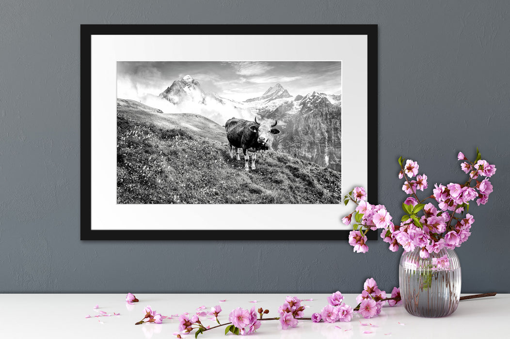 Kuh auf grüner Alm in den Bergen, Monochrome Passepartout Detail Rechteckig