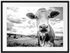 Nahaufnahme Kuh auf grüner Weide, Monochrome Passepartout Rechteckig 80