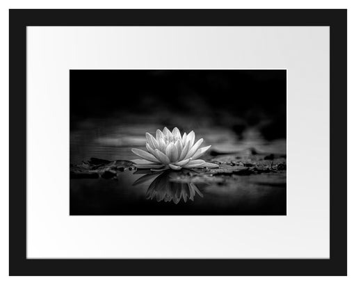 Leuchtende Lotusblüte auf grauer Pfütze, Monochrome Passepartout Rechteckig 30