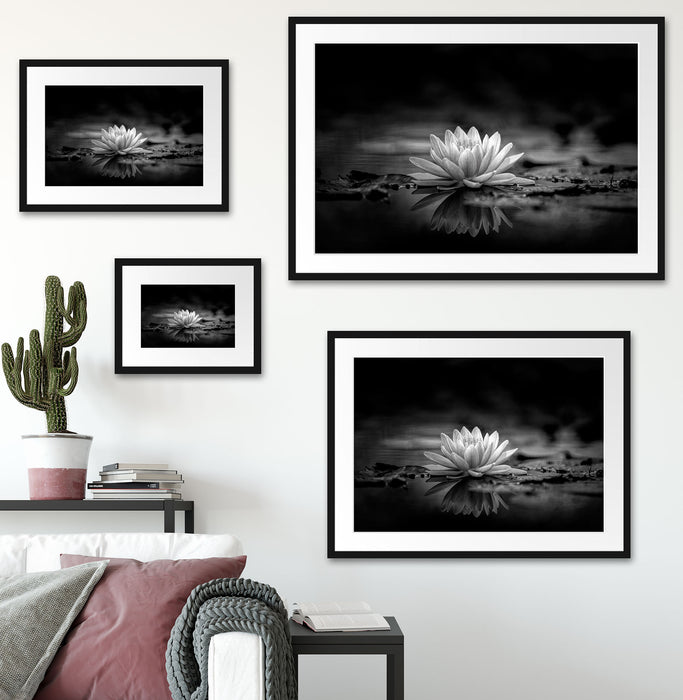 Leuchtende Lotusblüte auf grauer Pfütze, Monochrome Passepartout Wohnzimmer Rechteckig