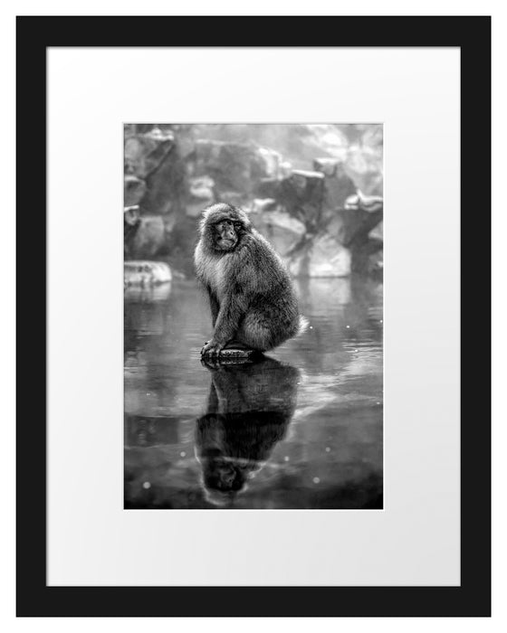 Pixxprint Schneeaffe auf Scholle in heißer Quelle, Monochrome, im Galerie-Passepartout Bilderrahmen