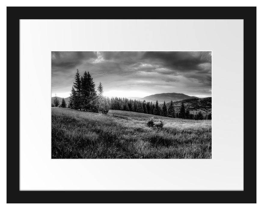 Pixxprint Wiesenlandschaft bei Sonnenuntergang, Monochrome, im Galerie-Passepartout Bilderrahmen