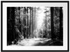 Sonnige Lichtung im Herbstwald, Monochrome Passepartout Rechteckig 80