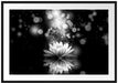 Magische Lotusblüte mit Glitzerstaub, Monochrome Passepartout Rechteckig 100