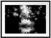 Magische Lotusblüte mit Glitzerstaub, Monochrome Passepartout Rechteckig 80