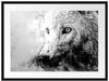 Dreckiger Wolf Nahaufnahme, Monochrome Passepartout Rechteckig 80