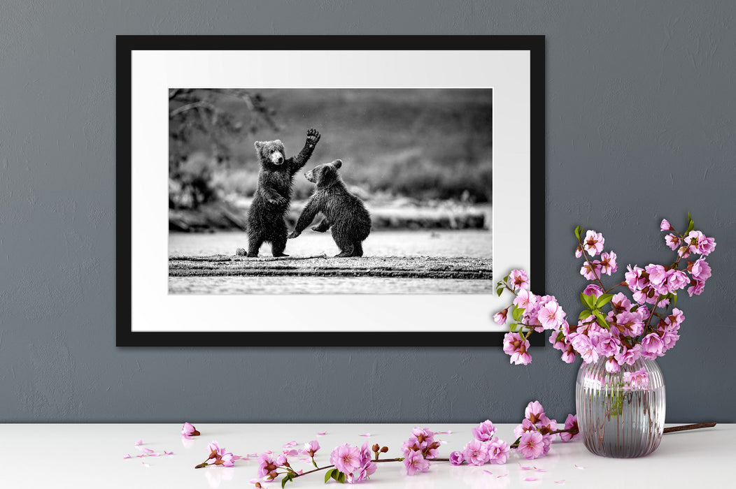 Junge Braunbären spielen am Fluss, Monochrome Passepartout Detail Rechteckig