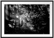 Ängstlicher Wolf im Wald, Monochrome Passepartout Rechteckig 100
