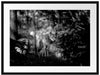 Ängstlicher Wolf im Wald, Monochrome Passepartout Rechteckig 80