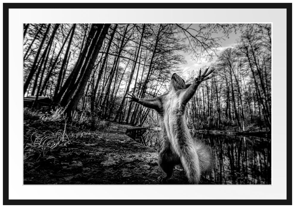 Lustiges Eichhörnchen steht im Wald, Monochrome Passepartout Rechteckig 100