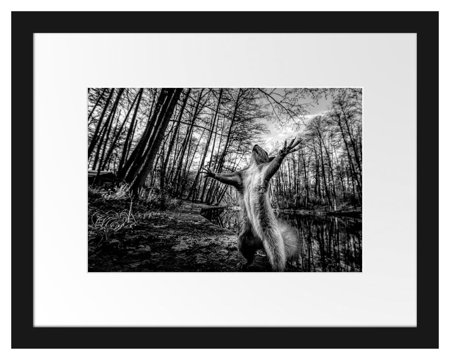 Pixxprint Lustiges Eichhörnchen steht im Wald, Monochrome, im Galerie-Passepartout Bilderrahmen