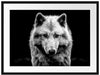 Nahaufnahme junger Polarwolf, Monochrome Passepartout Rechteckig 80
