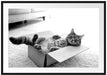 Müde Katze schläft im Karton, Monochrome Passepartout Rechteckig 100