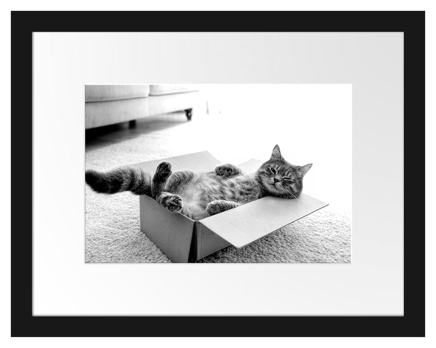Pixxprint Müde Katze schläft im Karton, Monochrome, im Galerie-Passepartout Bilderrahmen