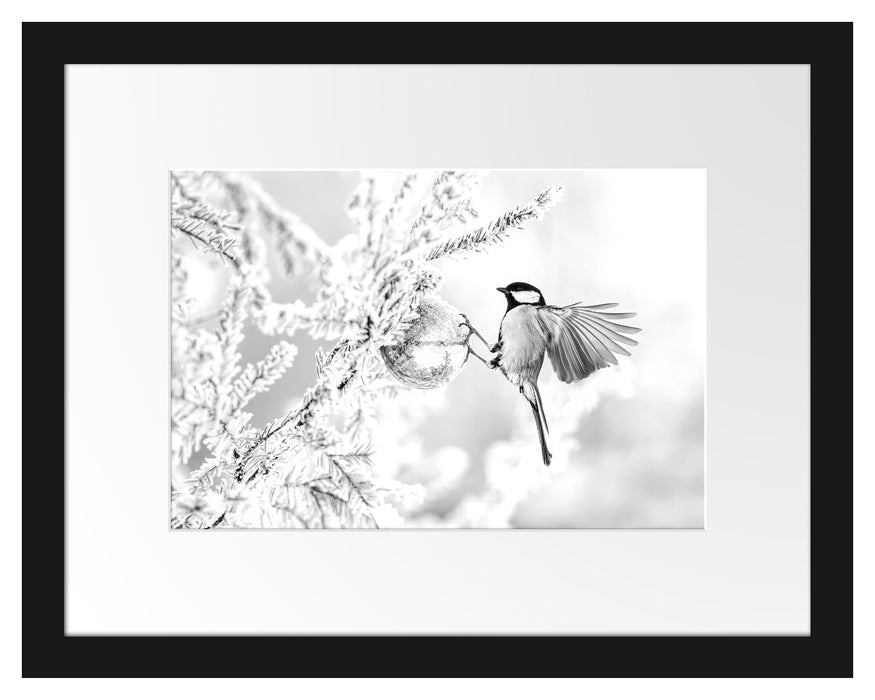 Pixxprint Kohlmeise an goldener Kugel in Winterwald, Monochrome, im Galerie-Passepartout Bilderrahmen