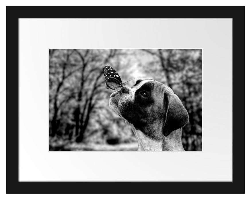 Pixxprint Welpe mit Schmetterling auf der Nase, Monochrome, im Galerie-Passepartout Bilderrahmen