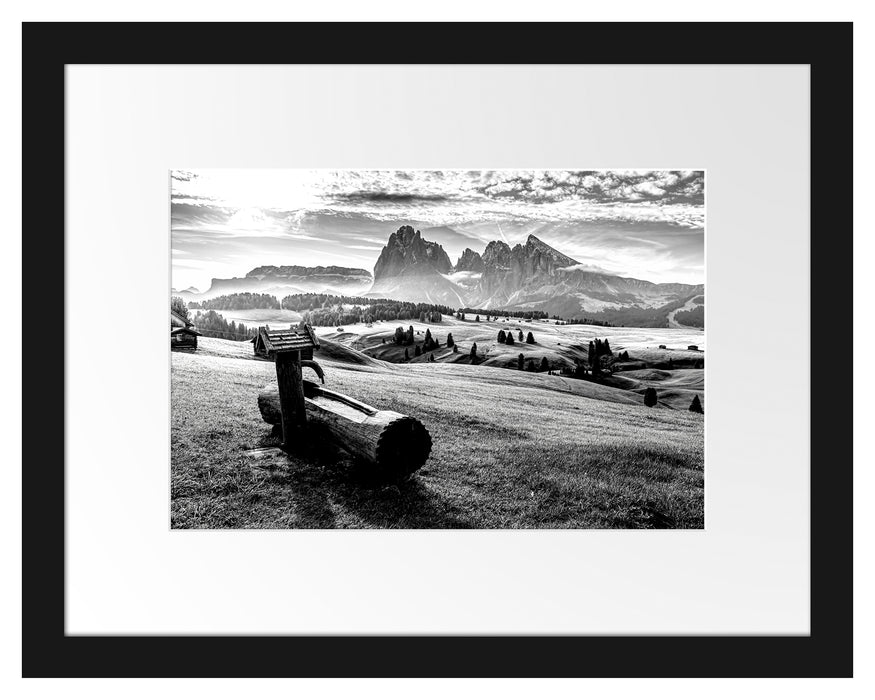 Pixxprint Wassertrog auf Wiese in den Dolomiten, Monochrome, im Galerie-Passepartout Bilderrahmen