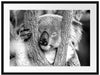 Koala schläft mit Kopf in Astgabel, Monochrome Passepartout Rechteckig 80